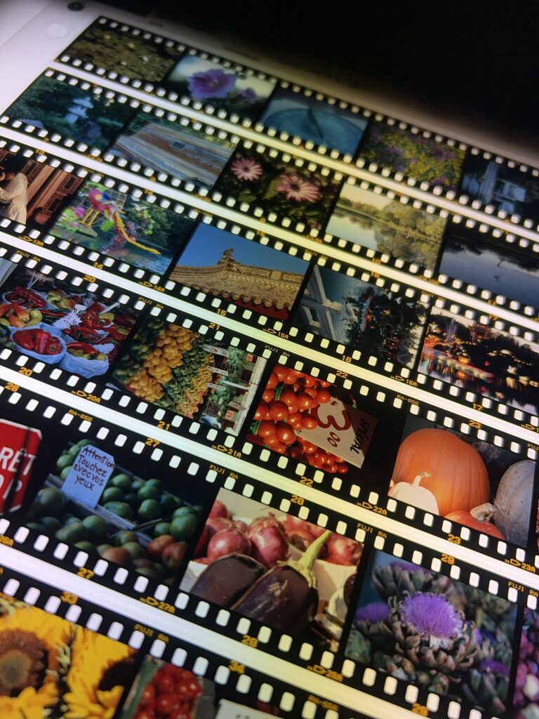 Strips of slide film (positive) on a light table viewed in a diagonal orientation. The punchy colours brings joy to the photographer.